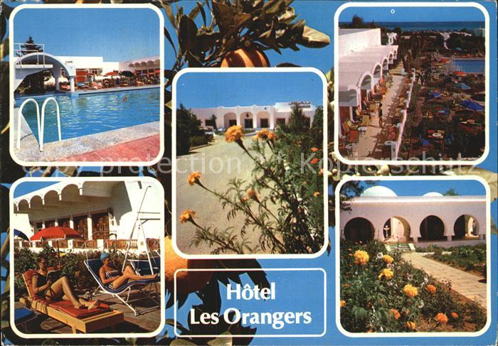 Hammamet Hotel Les Orangers Swimmingpool Details