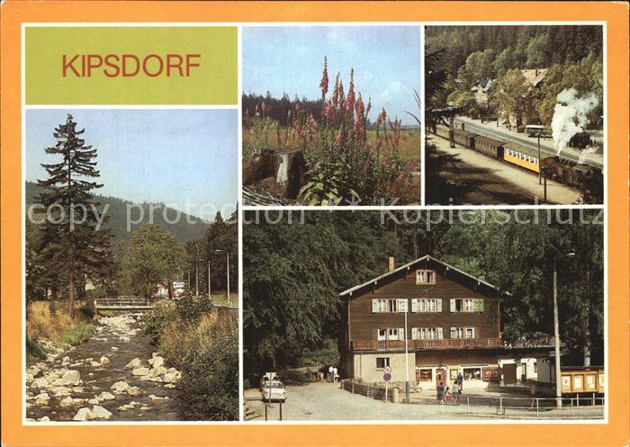 Kipsdorf Rote Weisseritz Digitalis Schmalspurbahn Bunte Truhe
