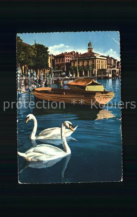 Salo Lago di Garda Lungo Lago I Cigni