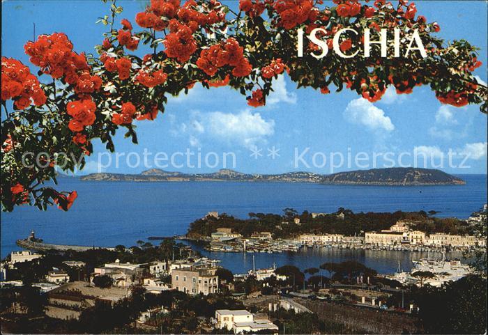 Ischia Panorama