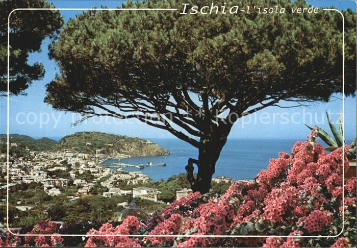 Lacco Ameno Veduta panoramica da Villa Parodi