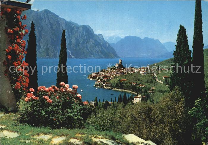 Malcesine Lago di Garda Panorama