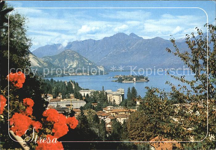 Stresa Lago Maggiore Panorama