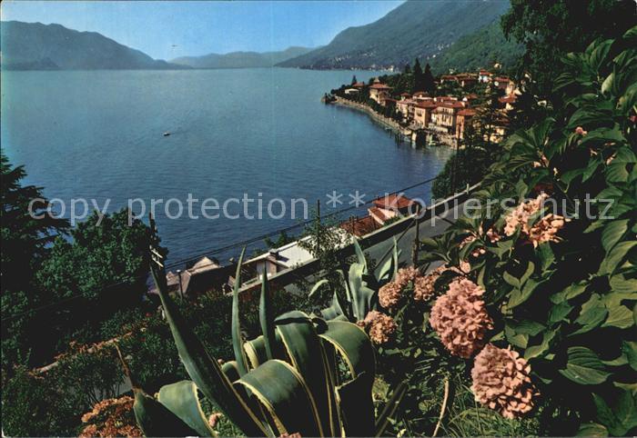 Cannero Riviera Lago Maggiore Panorama