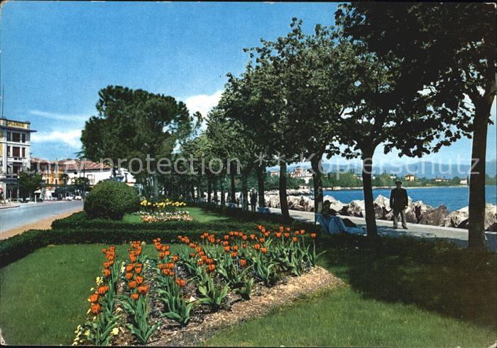 Desenzano Lago di Garda Seepromenade Bluete