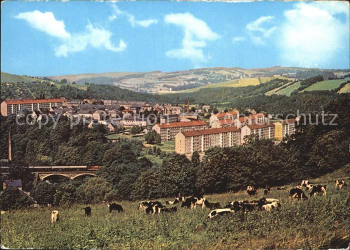 Zschopau Neubaugebiet Panorama