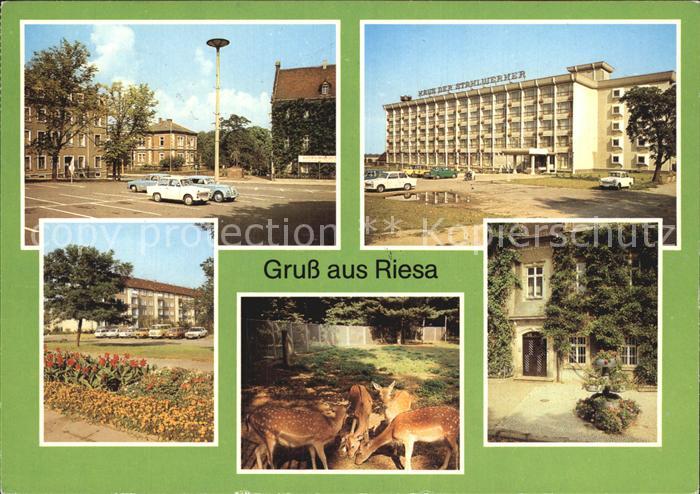 Riesa Sachsen Leninplatz Tierpark Rathaus Greifswalder Strasse