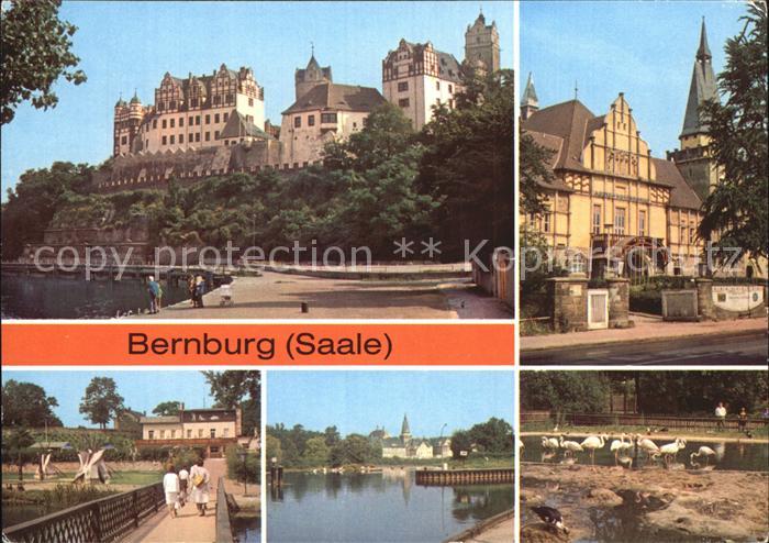 Bernburg Saale Schloss Kreiskulturhaus Eiscafe Baerenburg Indianerdorf Tierpark