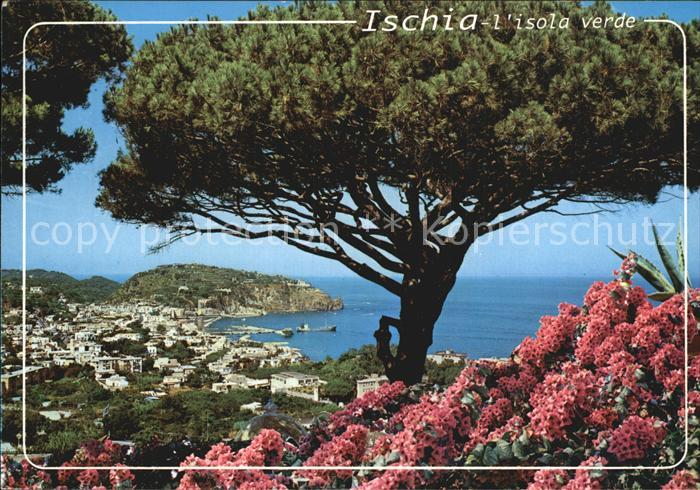 Lacco Ameno Panorama