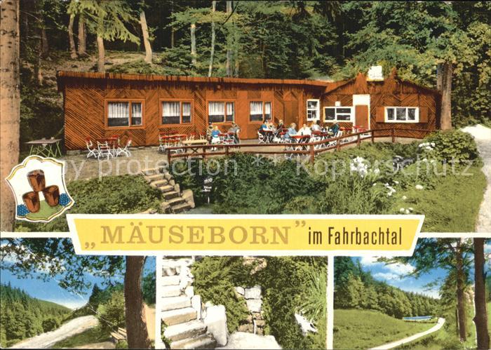 Grossalmerode Rasthaus Waldschloesschen am Maeuseborn