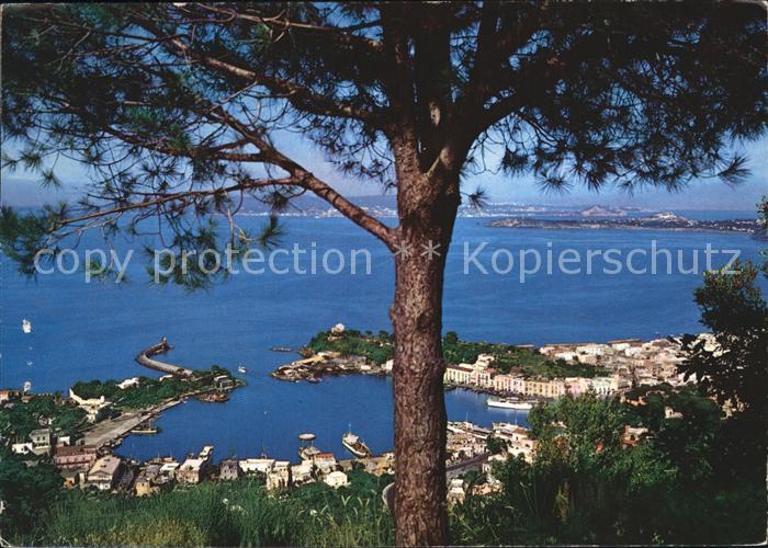 Porto d Ischia Panorama