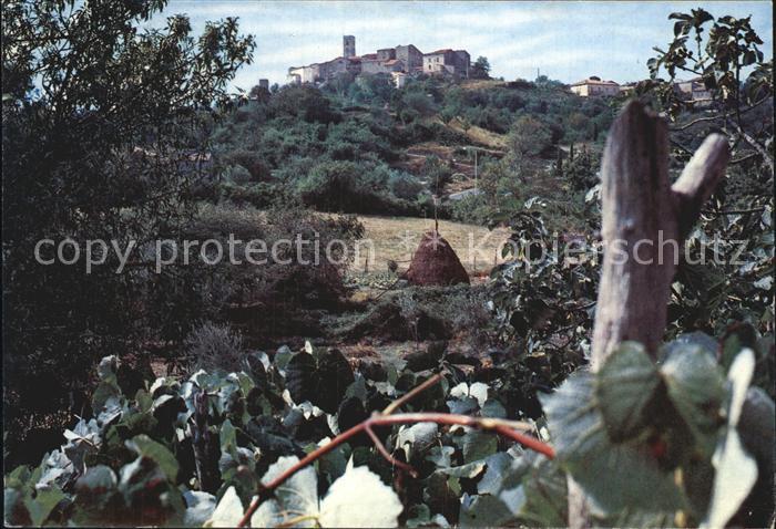 Vetulonia Teilansicht