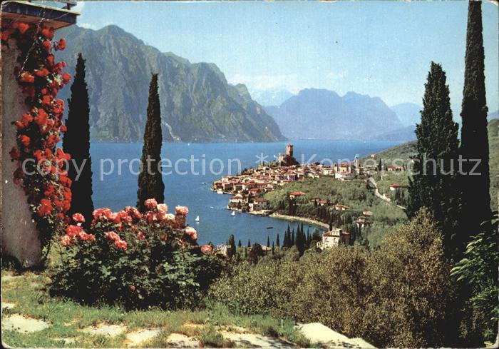 Malcesine Lago di Garda Gesamtansicht