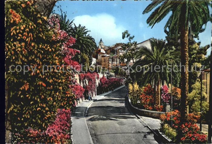 Bordighera Die Roemische Strasse