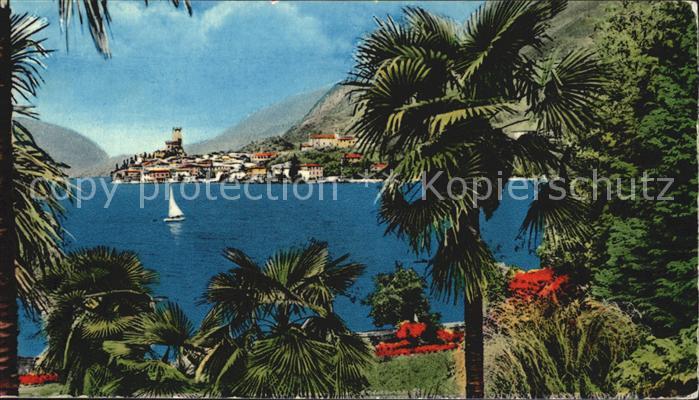 Malcesine Lago di Garda Blick auf den Garda See