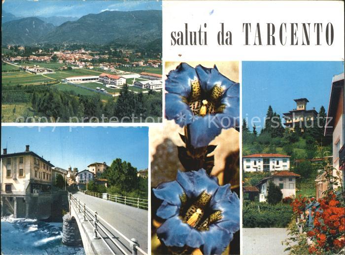 Tarcento Fliegeraufnahme Bruecke Teilansicht