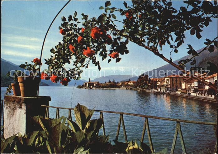 Gravedona Como Blick auf den See