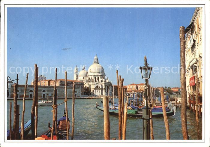 Venezia Venedig Basilika della Salute