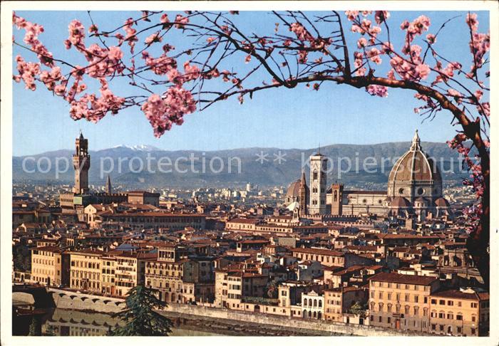 Firenze Florenz Panorama