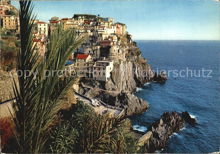 Manarola Le Cinque Terre