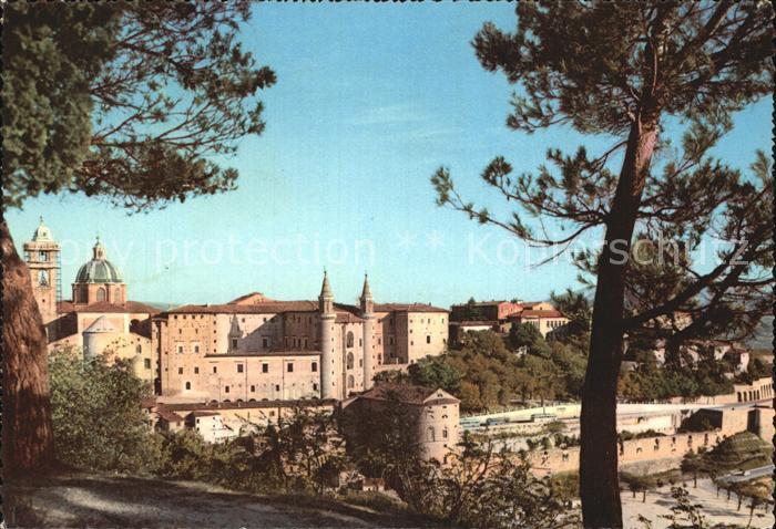 Urbino Ansicht