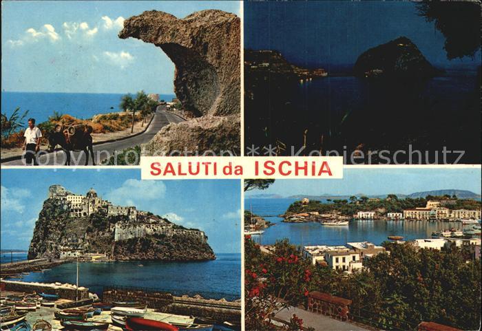 Forio d Ischia Der Pilz Hafen Ansicht bei Nacht