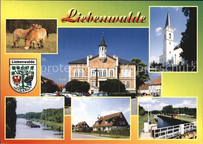 Liebenwalde Wildpferde Rathaus Bischofswerder Schleuse