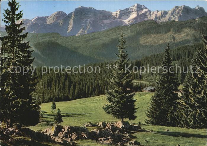 Winkelmoos Winklmoos Loferer Steinbergen