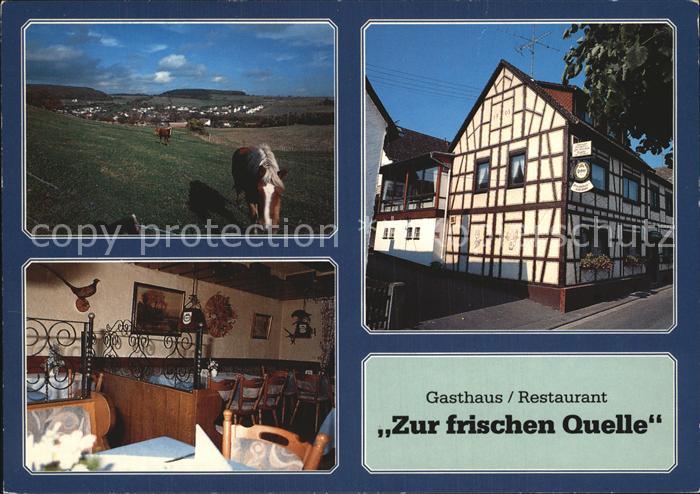 Laubach Taunus Gasthaus Restaurant Zur frischen Quelle