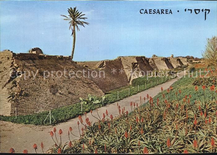 Caesarea Israel Crusaders City Wall