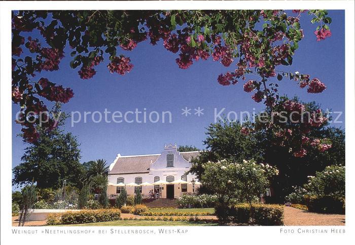 Stellenbosch Weingut Neethlingshof