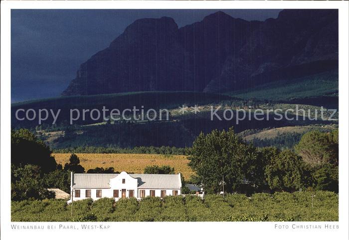 Suedafrika Southafrica RSA Weinanbau Paarl