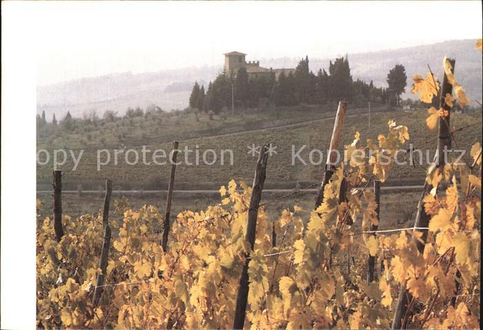 Toscana Panorama