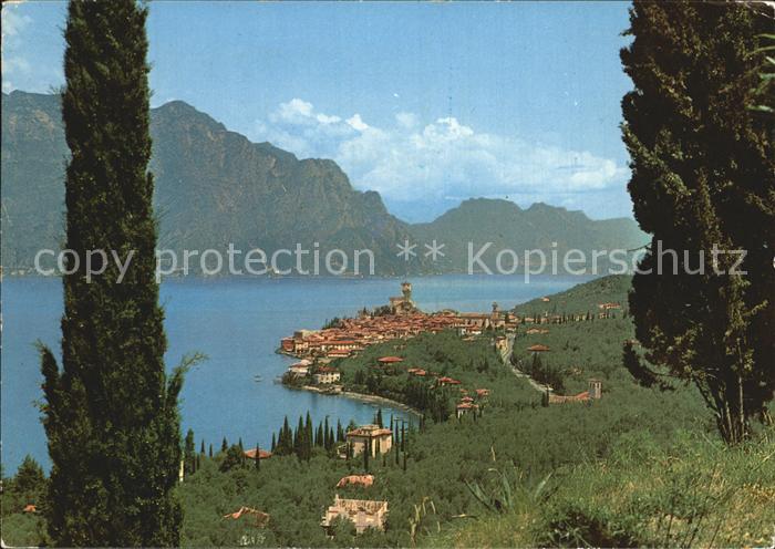 Malcesine Lago di Garda Gardasee Panorama