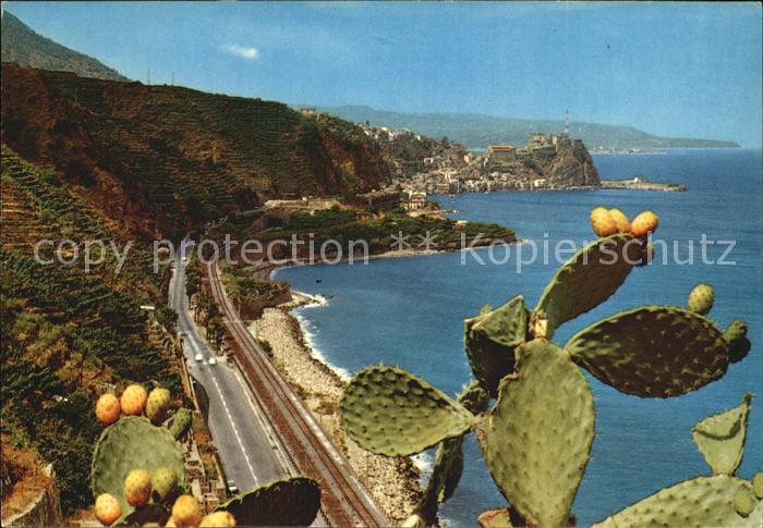 Scilla Kalabrien Panorama Kakteen