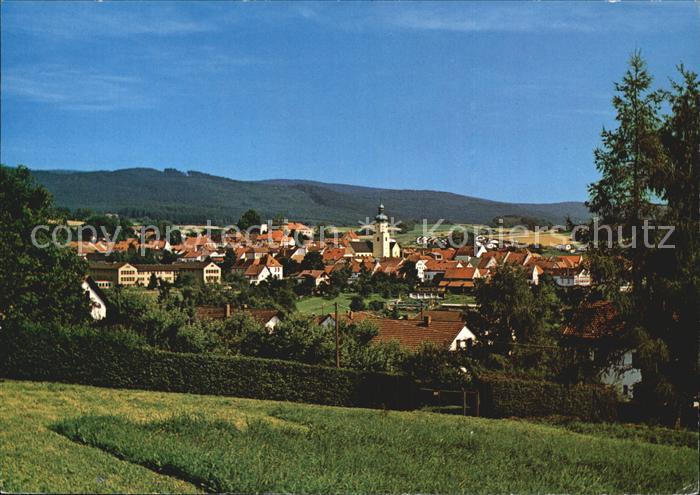 Waldmuenchen Panorama