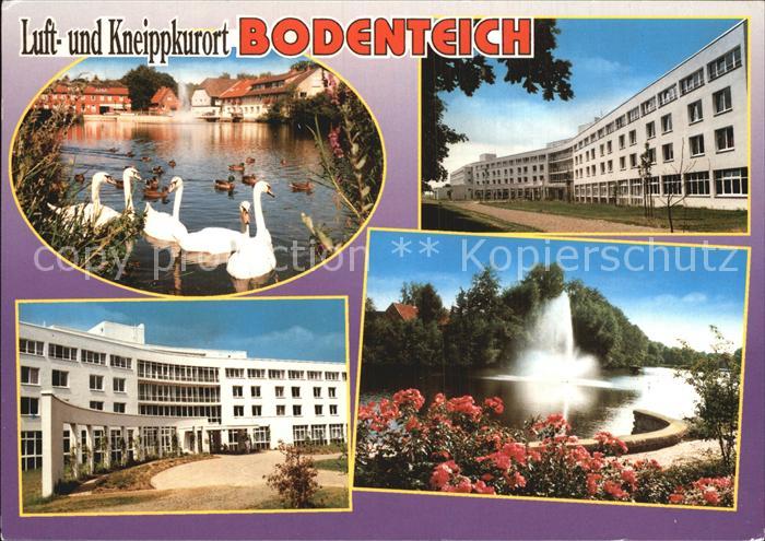 Bodenteich Schwaene Luftkurort Kneipp Ortsansichten