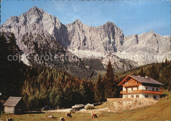 Dachstein Steiermark Dachsteinruhe Suedwaende Ramsau