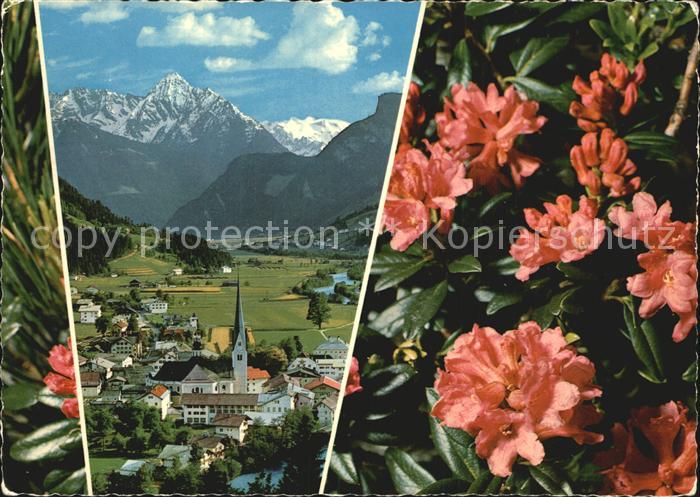Zell Ziller Tirol Tristner Alpenrosen