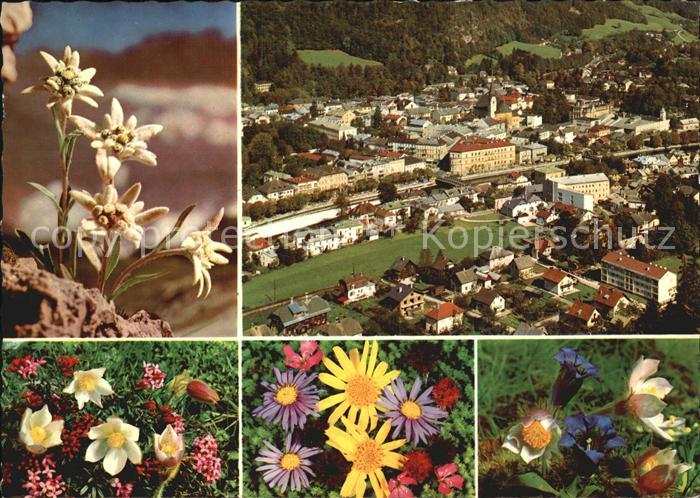 Bad Ischl Salzkammergut Fliegeraufnahme