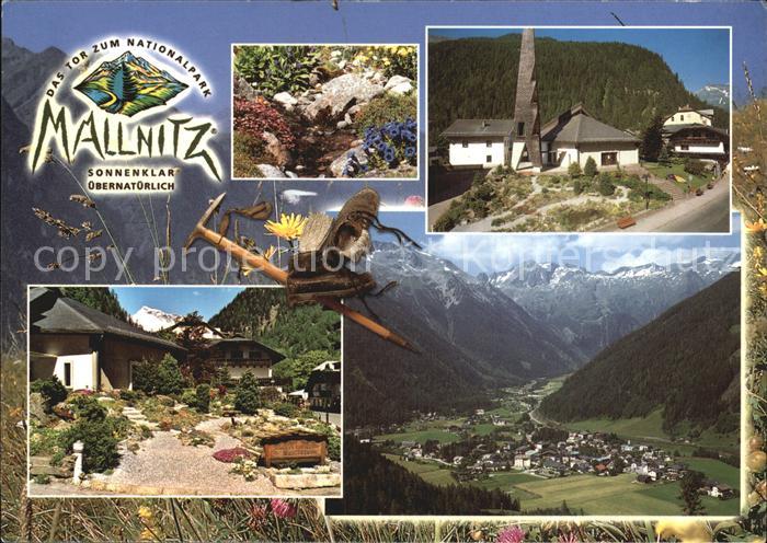 Mallnitz Kaernten Ortsansicht Alpengarten