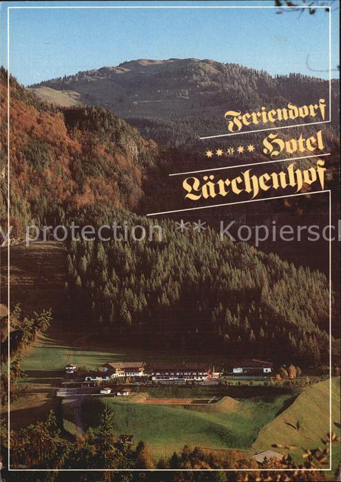 Erpfendorf Hotel Laerchenhof