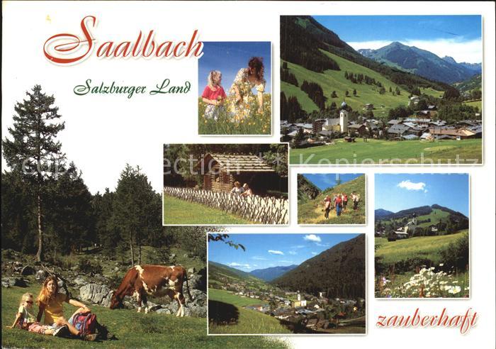 Saalbach-Hinterglemm Teilansicht Panorama