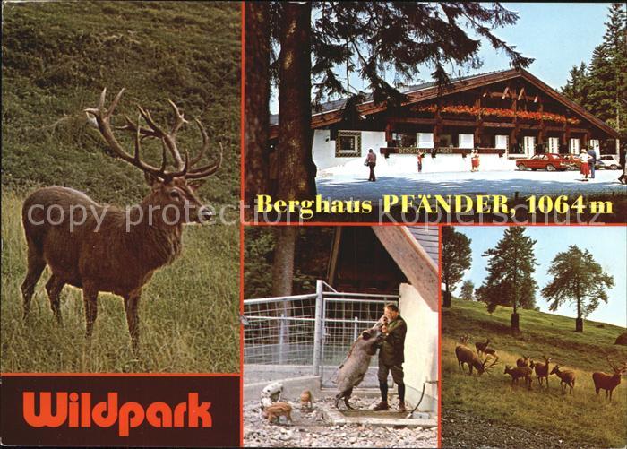 Bregenz Vorarlberg Wildpark Berghaus Pfaender