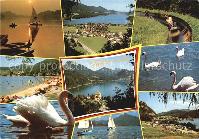 Fuschl See Salzkammergut Schwan Segelboot