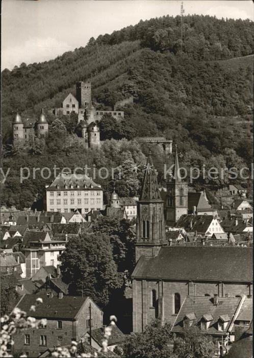Wertheim Main Schlossruine