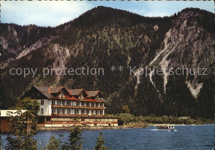 Plansee Hotel Forelle