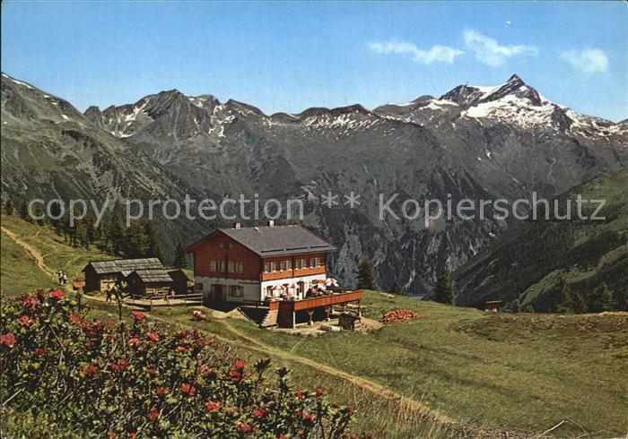 Kaernten Haeusleralm gegen Ankogel
