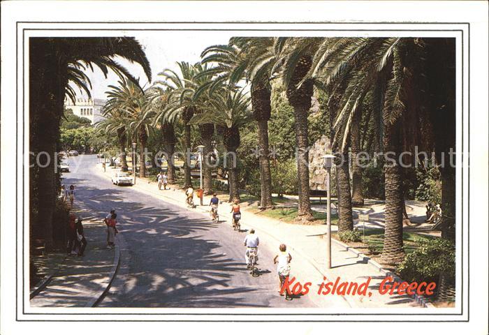 Kos Cos Palm Trees Avenue