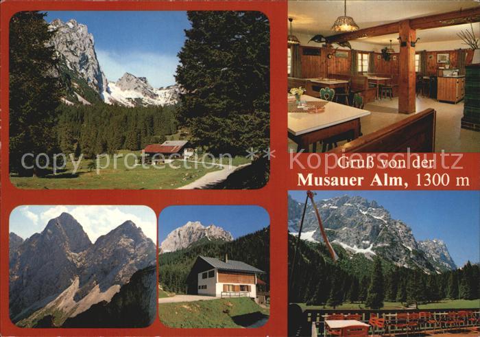 Reutte Tirol Musauer Alm Berggaststaette Alpenblick